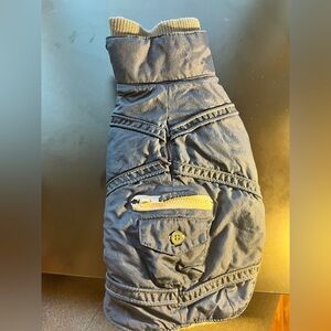 Blue dog coat Xs